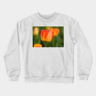 Spring Crewneck Sweatshirt